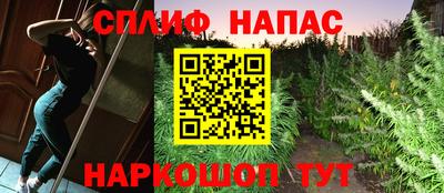 гидра Бузулук