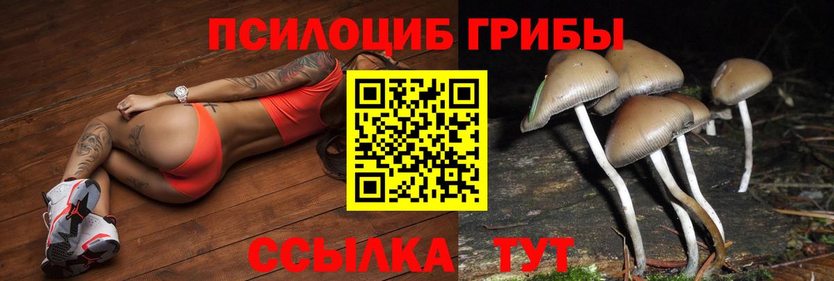 Галлюциногенные грибы Psilocybine cubensis  Вход с VPN  Саяногорск 